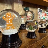 きょう❁⃘*.ﾟ