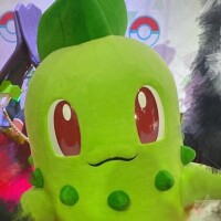 🙇🏻‍♀️🌈