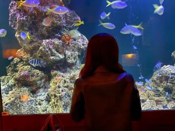 少し早く🎀꙳.*