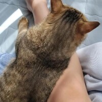 猫好きに悪い人は居ない✨