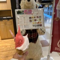 今日のスイーツ