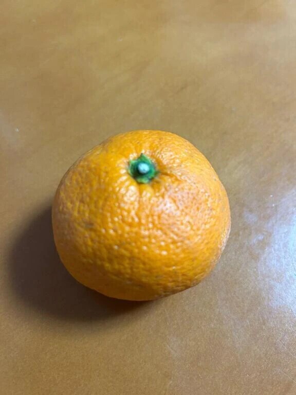 好きな果物のお話……