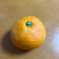 好きな果物のお話……