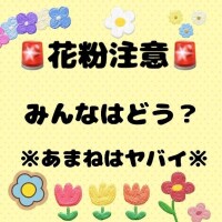 花粉注意突入⚠️