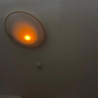 おはようございます☀️