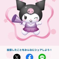 投票