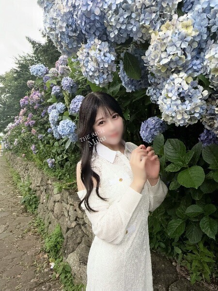梅雨の時期ならではの紫陽花へ🪻