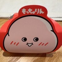 念願の??