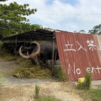 うっしっしー