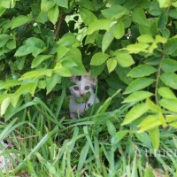 おはよう