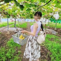 最近のあやめ🍇🎬️☔　※写真多め長いです！時間ある時見てね！