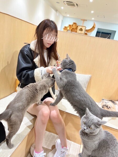 もてもて……？🐱‎🤍