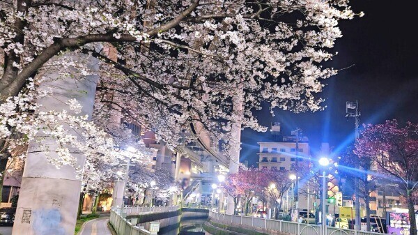 📢夜𝐑𝐈𝐂𝐇派の方に…！🌸