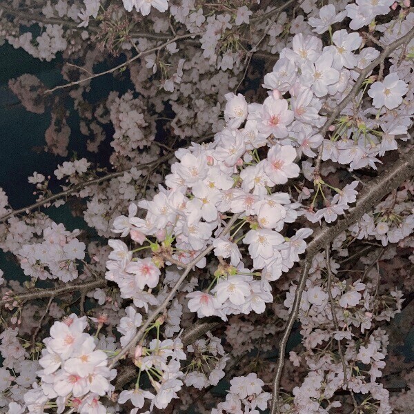 明日初出勤です💖