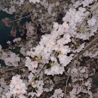 明日初出勤です💖