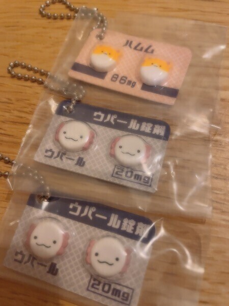 🐹あした🐹