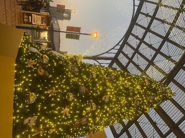 お休みの日はお買い物デート気分🎄