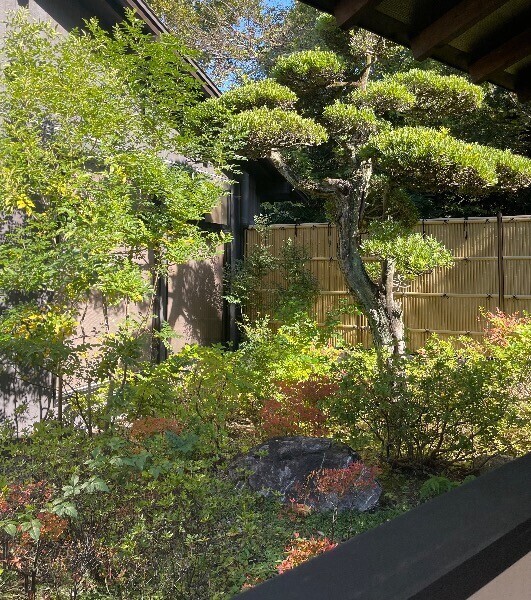 汗かいて…とろけて…?リフレッシュ完了すずなです??