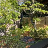 汗かいて…とろけて…?リフレッシュ完了すずなです??