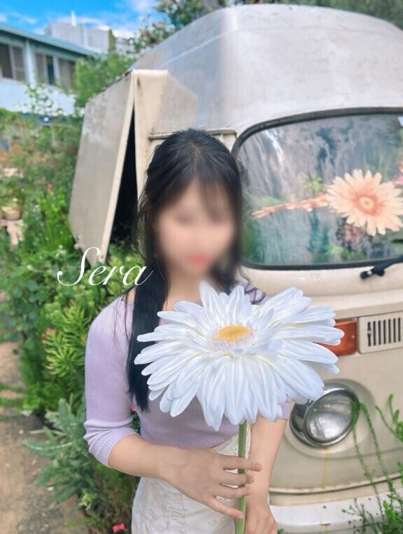 犬が人を温める