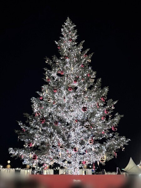 12/30からお休みさせていただきます??