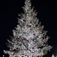 12/30からお休みさせていただきます??