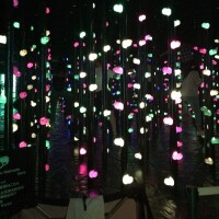 キ◯とハ◯、足りてますか？