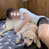 褒めてーーー！🧡って言う