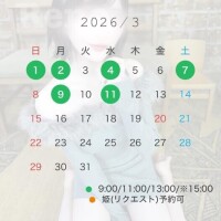 3月前半仮予定