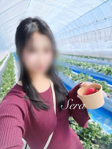 ロイヤルクイーンを仕留めに