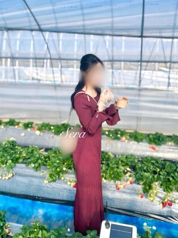 ロイヤルクイーンを仕留めに