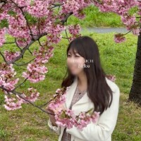 🌸桜を見に行ってきました🌸