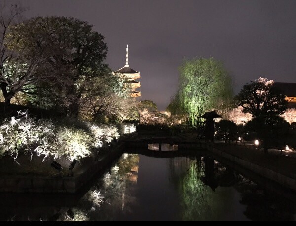 少しだけリフレッシュ✨