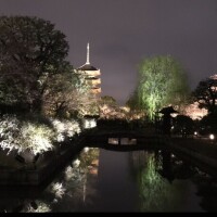 少しだけリフレッシュ✨