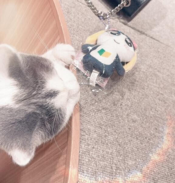 [お題]from:宴会部長さん