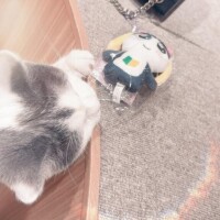 [お題]from:宴会部長さん