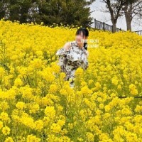 Ayame