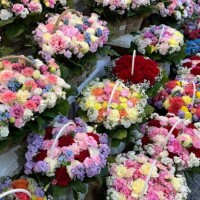 2月ぶり?