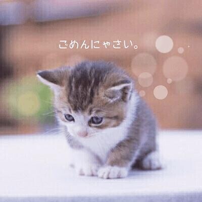 急遽?