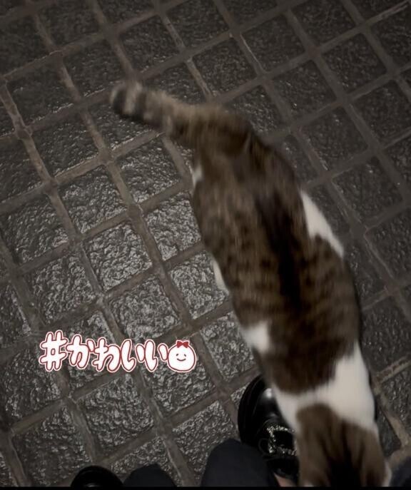 こんばんは☆