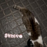 ことみ