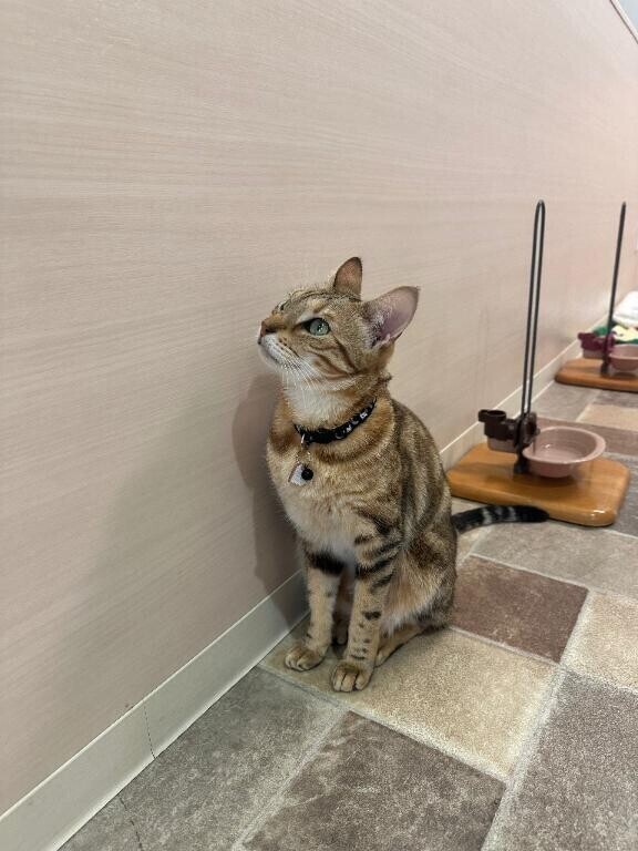 [お題]from:怖いんだけどさん