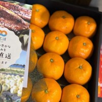 今日からBirthdayイベント?