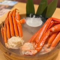 人気姫千葉ねね