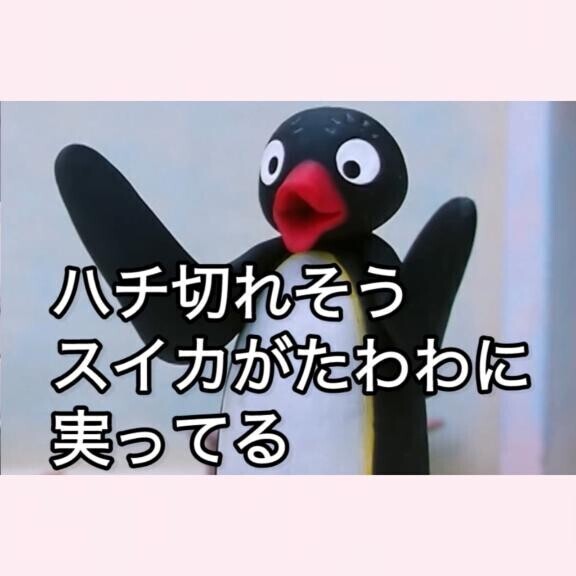 隠してるつもり、なんだけどなあ、