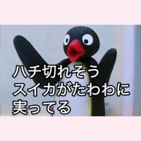 隠してるつもり、なんだけどなあ、