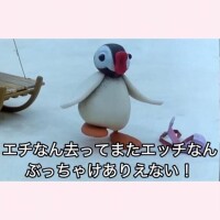 ひみちゅ、だよ