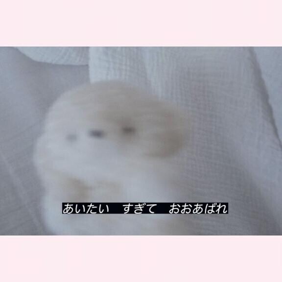 いつもとちがう、？