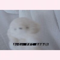 いつもとちがう、？