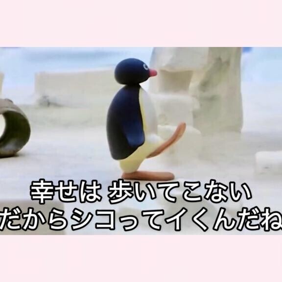 きんたまきらきらきんようび